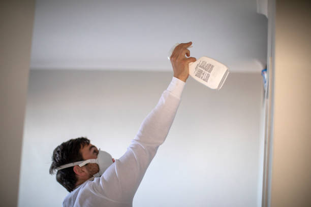 Best Toxic Mold Removal  in New Castle Northwest, PA