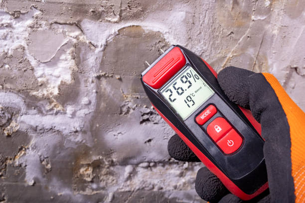 Best Mold Removal Company Near Me  in New Castle Northwest, PA