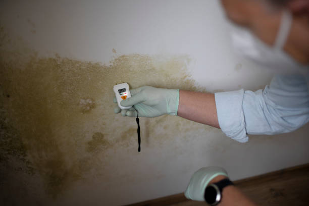 Best Mold Testing  in New Castle Northwest, PA